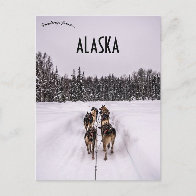 Postal Un equipo de trineo de perros en Alaska (Anverso)