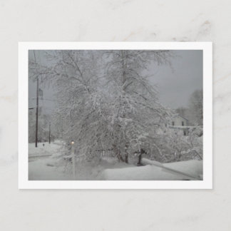 Postal Un espantoso Día del Invierno