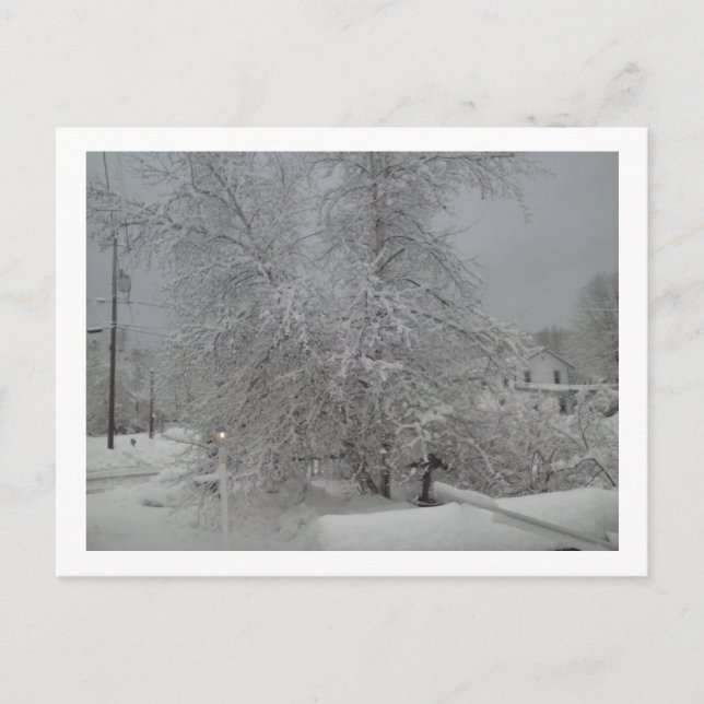 Postal Un espantoso Día del Invierno (Anverso)