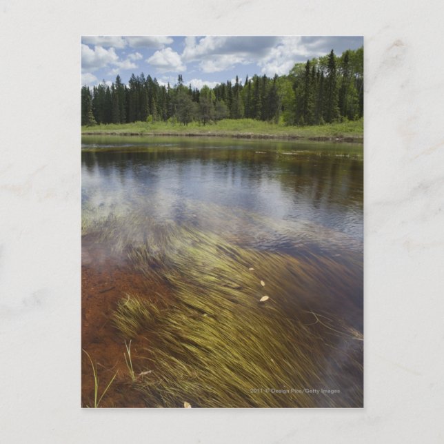 Postal Un Estanque Todavía Refleja Las Nubes (Anverso)