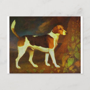 Postal Un Foxhound, Ringwod por George Stubbs