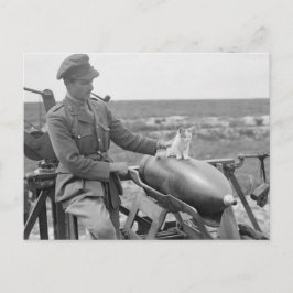 Postal Un gatito en la guerra