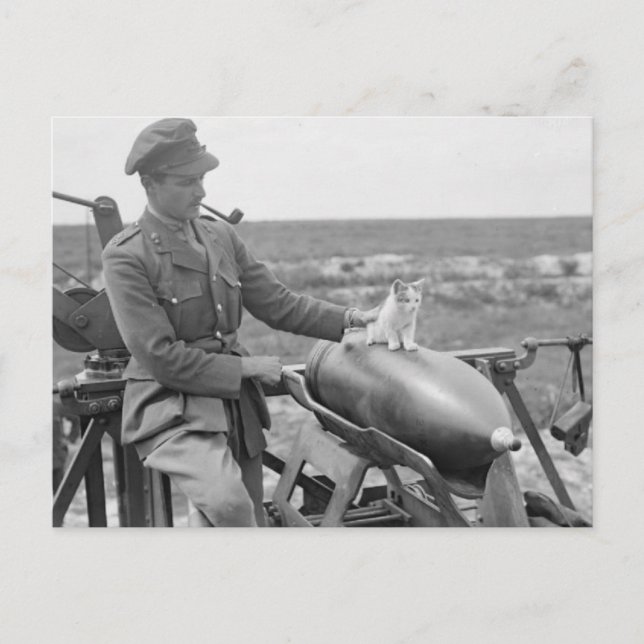 Postal Un gatito en la guerra (Anverso)