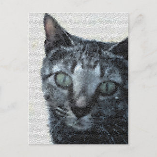 Postal Un gato a través de los ojos de una libélula.