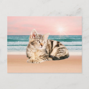 Postal Un gato atigrado más lindo sentado en la playa con