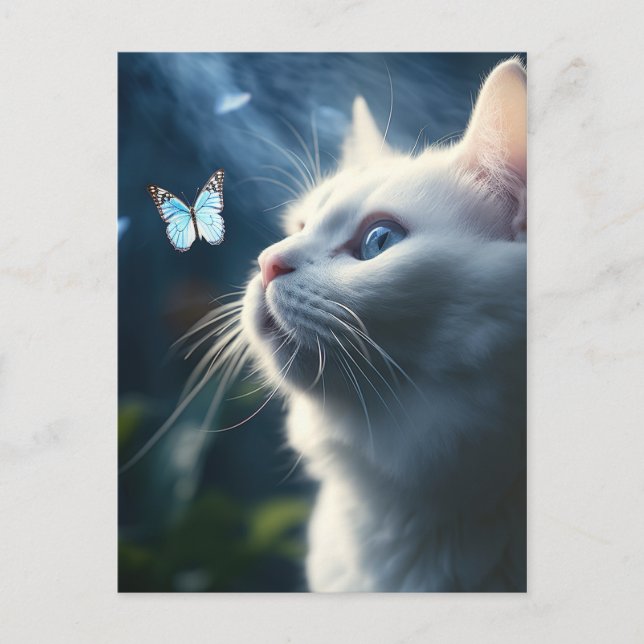 Postal Un gato blanco con ojos azules mira una mariposa (Anverso)