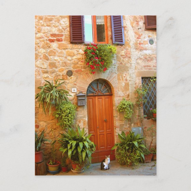 Postal Un gato busca la entrada a casa en Pienza, Italia. (Anverso)