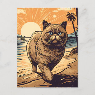 Postal Un gato de playa tropical exótico