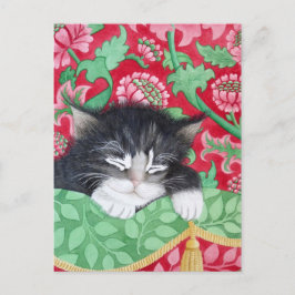 Postal ¡Un gato mullido!