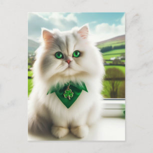 Postal Un gato suave y blanco