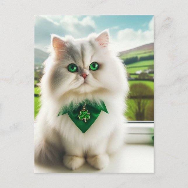 Postal Un gato suave y blanco (Anverso)
