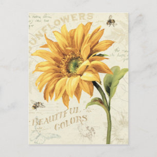 Postal Un girasol en pleno auge