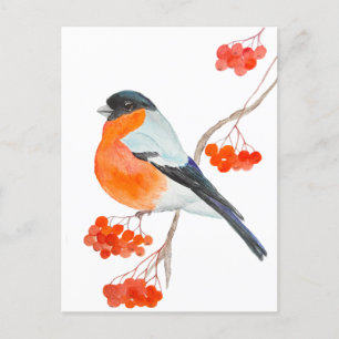 Postal Un gracioso bullfinch en una rama de un árbol de r