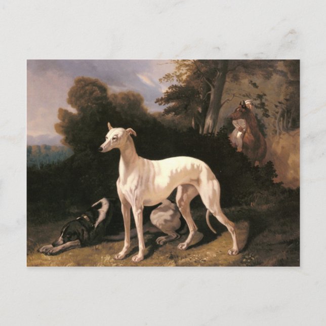 Postal Un Greyhound en un amplio paisaje de Dreux (Anverso)