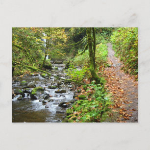 Postal Un grillo de Guay