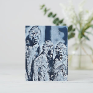 Postal Un grupo de monos cantando