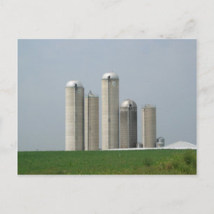 Postal Un Grupo De Silos En Una Granja En Lancaster, Pa