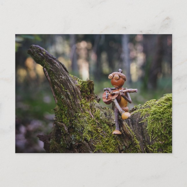 Postal Un guitarrista de bellota en el bosque. (Anverso)