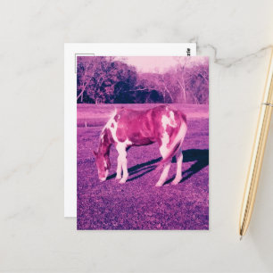 Postal Un hermoso caballo de pintura caducó una fotografí