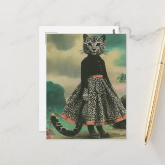 Postal Un hermoso gato grande con un vestido de estampado