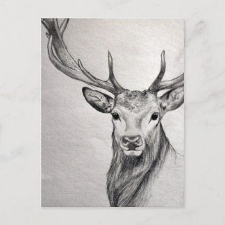 Postal Un increíble dibujo a lápiz de una hermosa criatur