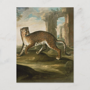 Postal Un jaguar