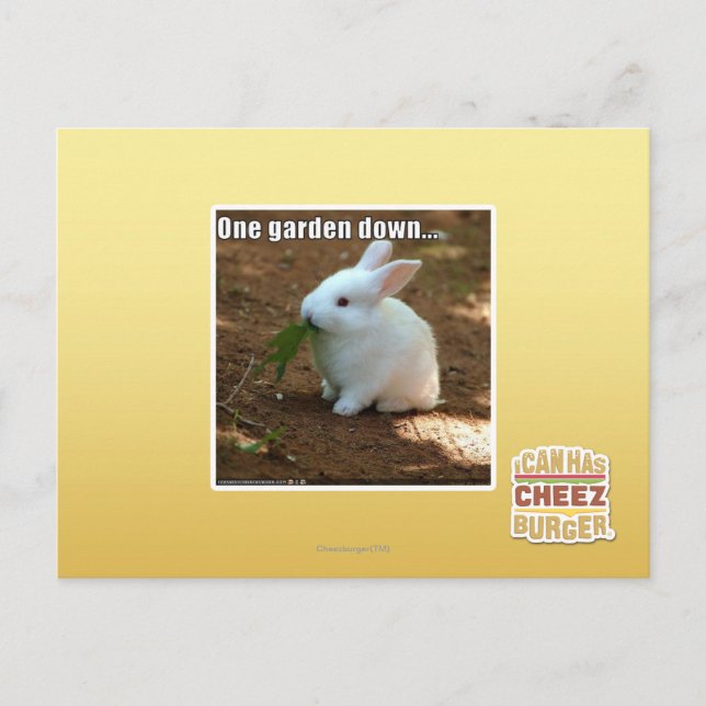 Postal Un Jardín abajo � (Anverso)