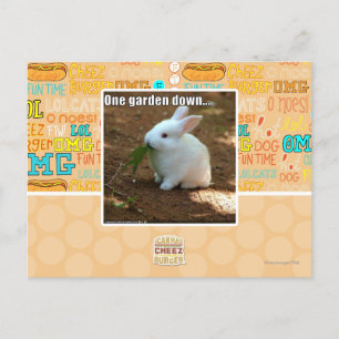 Postal Un jardín Down�