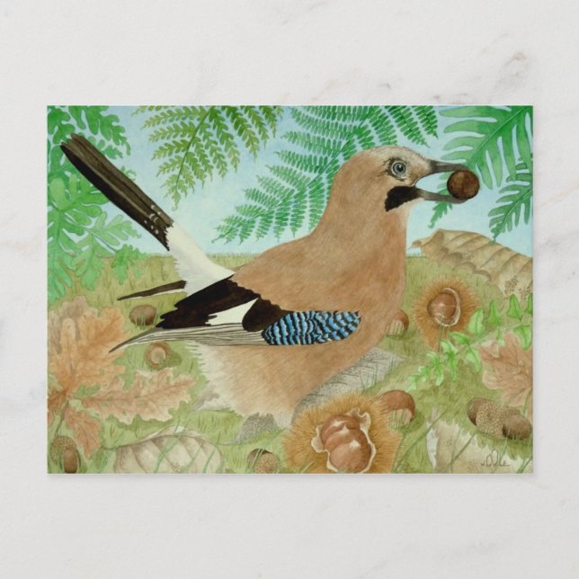 Postal Un Jay en otoño (Anverso)