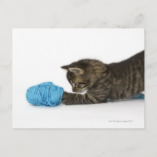 Postal Un joven gatito de Tabby jugando con lana.