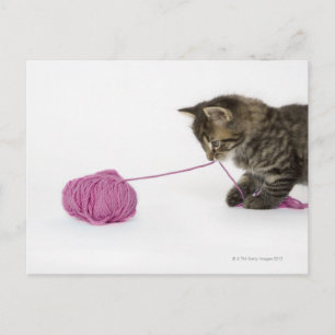 Postal Un joven gatito de tabby jugando con una pelota de
