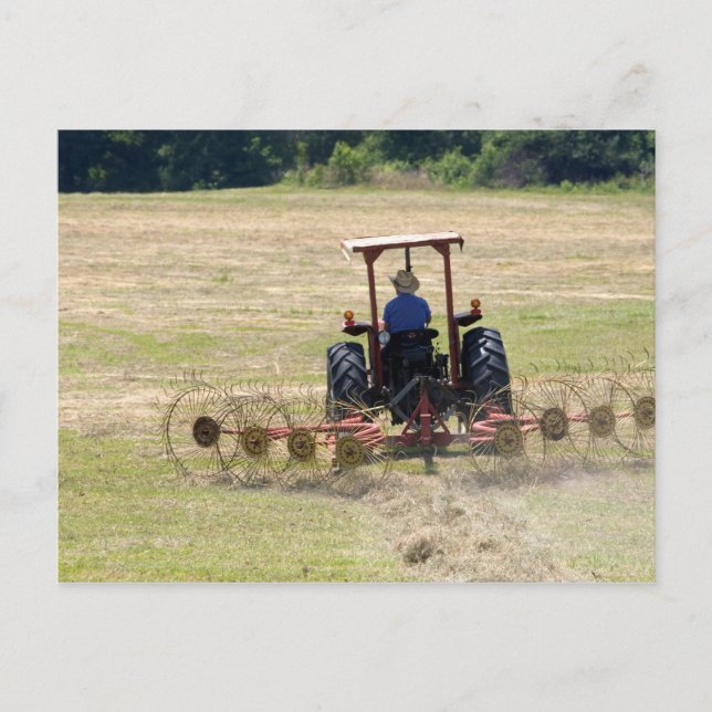 Postal Un joven muchacho conduciendo un tractor cosechand (Anverso)