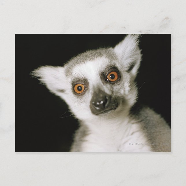 Postal Un lemur. (Anverso)