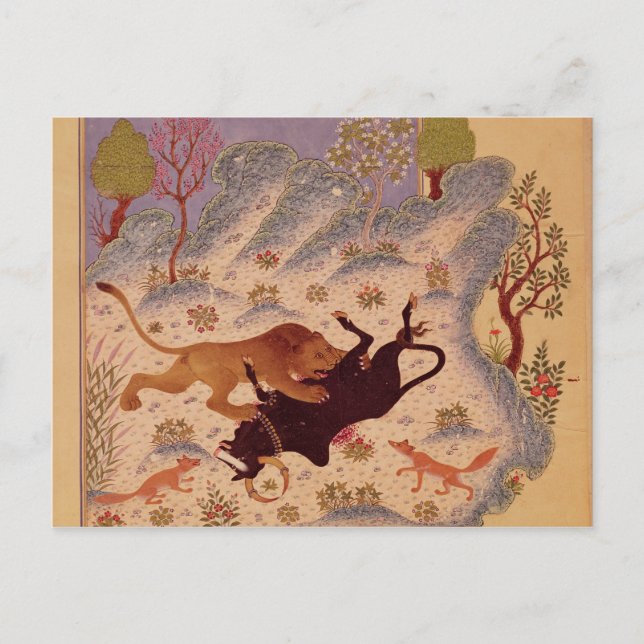 Postal Un león ataca y mata a un toro (Anverso)