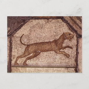 Postal Un leopardo