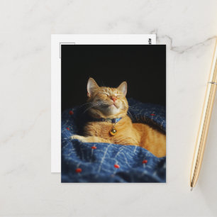 Postal Un lindo gatito pelirrojo dormilón