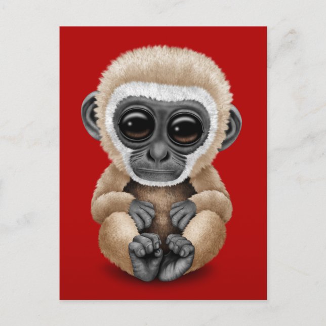 Postal Un lindo y curioso bebé Gibbon en rojo (Anverso)