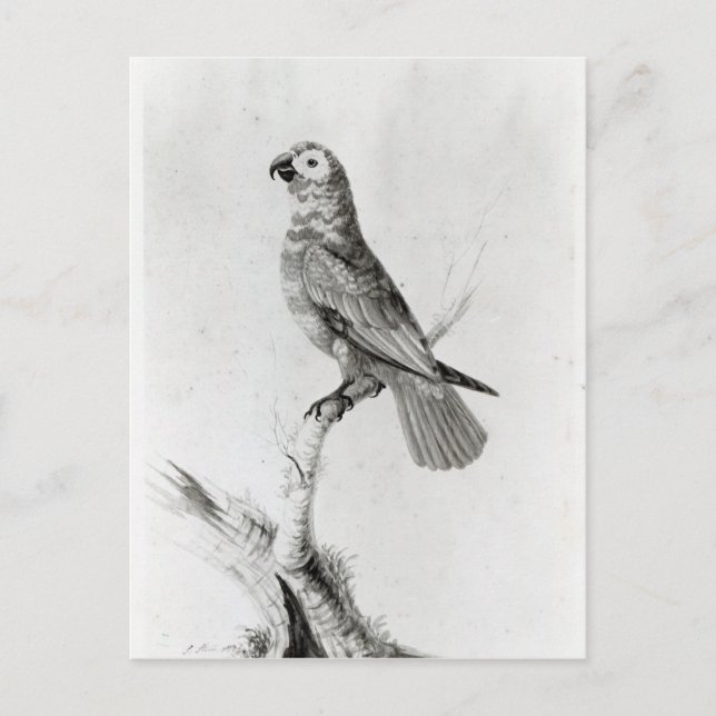 Postal Un loro, 1786 (Anverso)