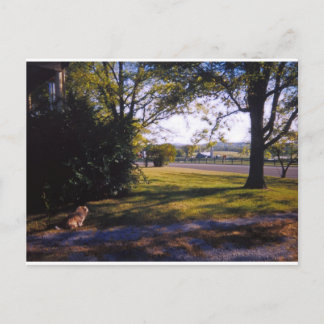 Postal Un lugar de belleza pastoral en Brentwood, Tenness