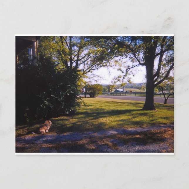 Postal Un lugar de belleza pastoral en Brentwood, Tenness (Anverso)