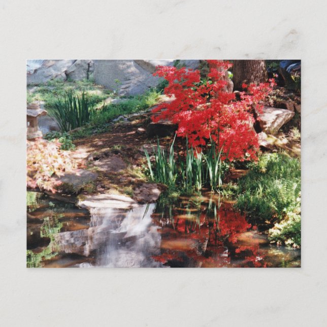 Postal Un lugar sanador (Anverso)