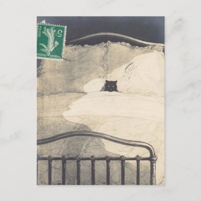 Postal ¡Un Mad Kitty! (Anverso)