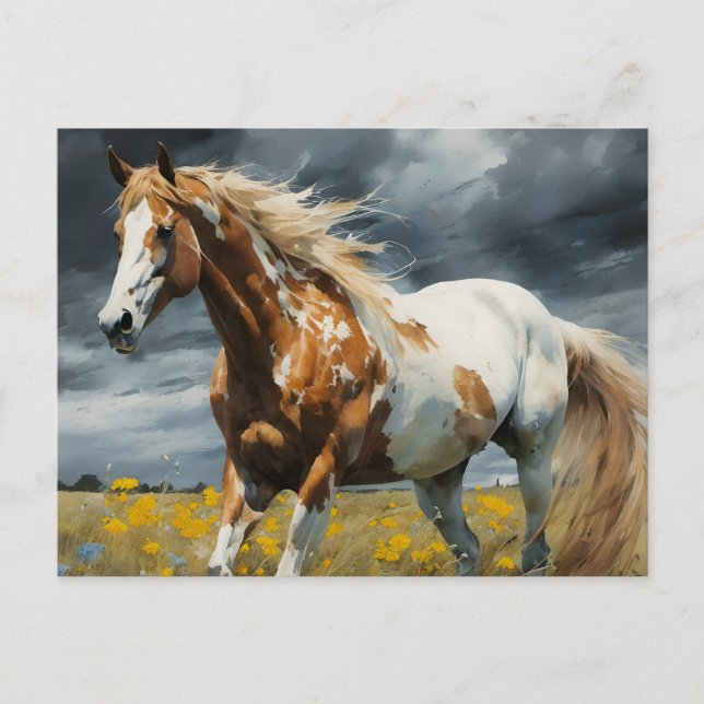 Postal Un magnífico caballo de Pinto (Anverso)