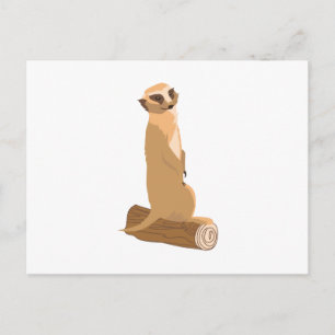 Postal Un Meerkat