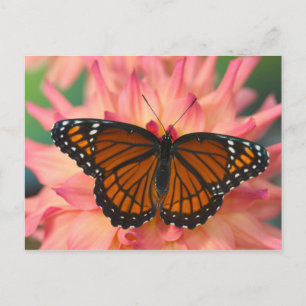 Postal Un Mímico De La Mariposa Monarca