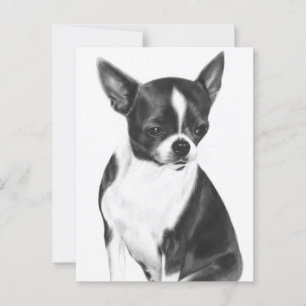 Postal Un momento de calma - Retrato de Chihuahua pintado