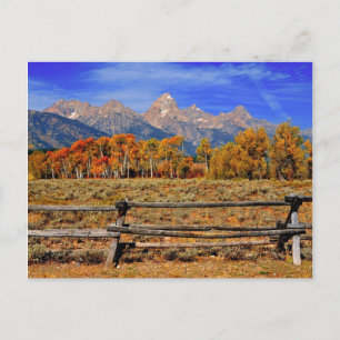 Postal Un momento en Wyoming en otoño