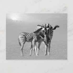 Postal Un momento tierno entre mamá y bebé