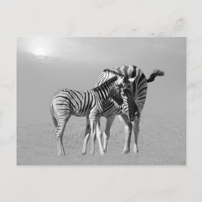 Postal Un momento tierno entre mamá y bebé (Anverso)