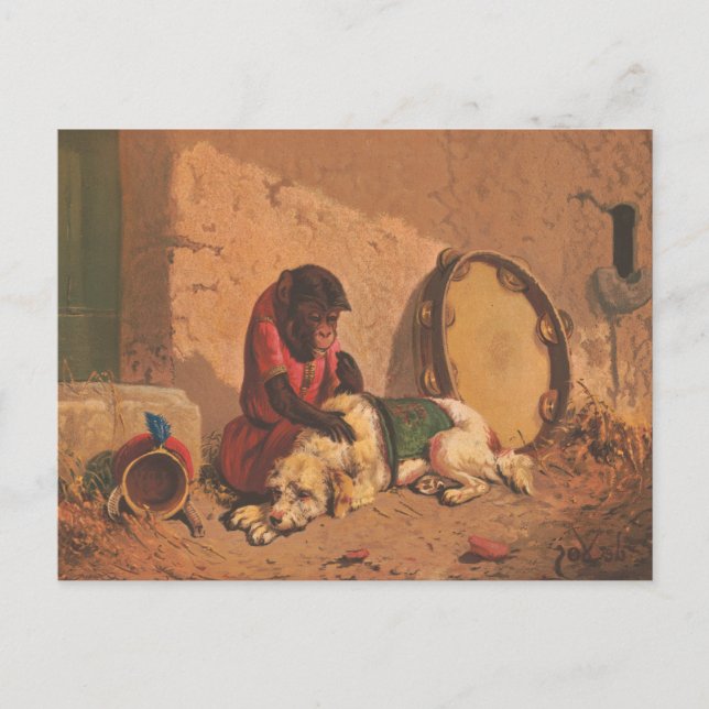 Postal Un Mono Y Un Perro Con Un Gran Panorama (Anverso)